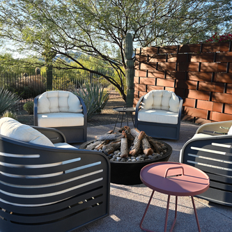 Grand Canyon Gas Logs