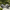 Vineyard 5-Piece Deep Seating Set