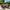 Vineyard 5-Piece Deep Seating Set