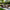 Vineyard 5-Piece Deep Seating Set