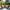 Vineyard 5-Piece Deep Seating Set