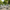 Vineyard 5-Piece Deep Seating Set