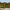 12′ × 14′ Meridian Wooden Pergola (Gazebo)