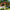 12′ × 14′ Meridian Wooden Pergola (Gazebo)